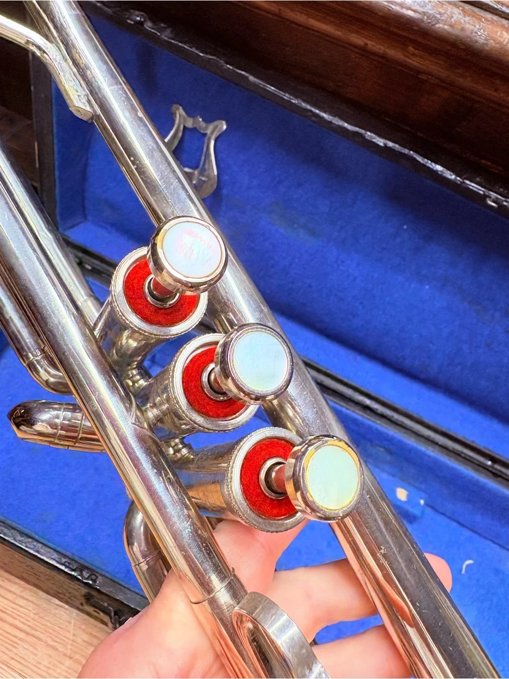Master Trumpet - Picture 4 of 11